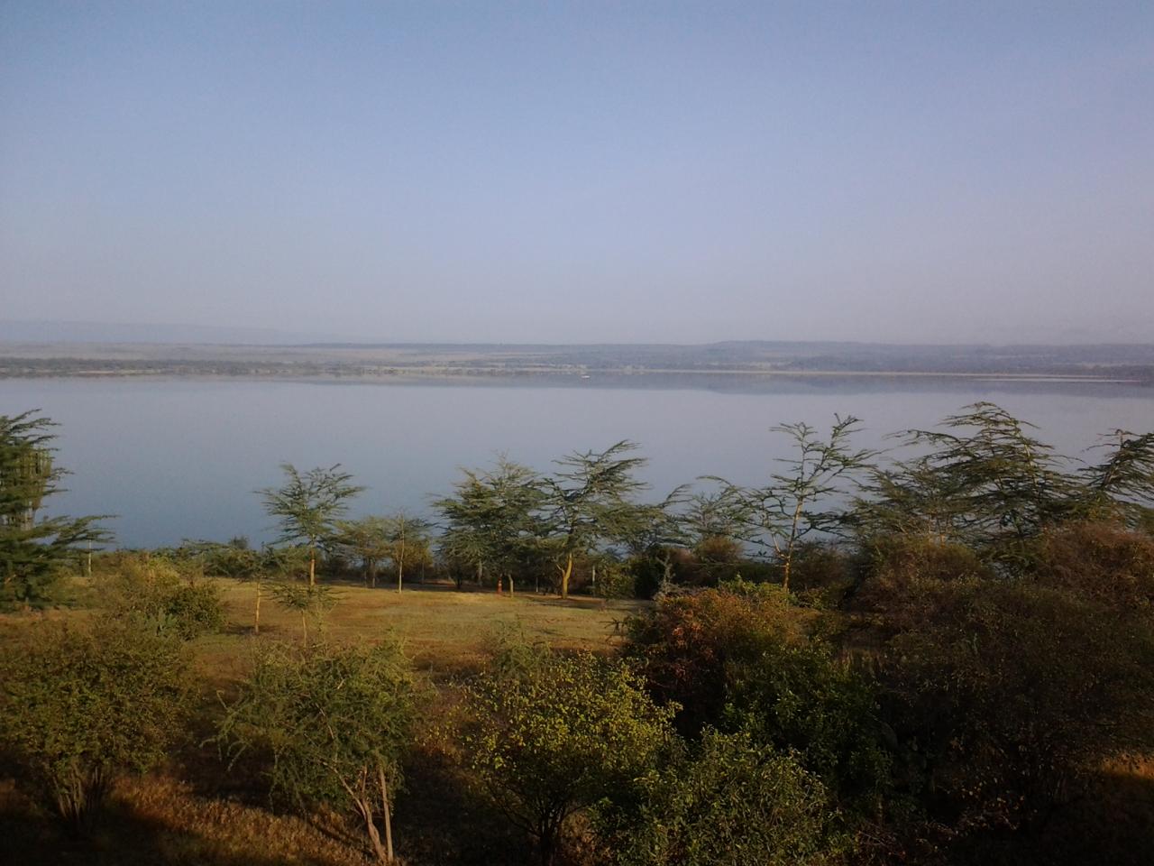 Lake Elementaita Budget Safari Adventure/YHA Kenya Travel.