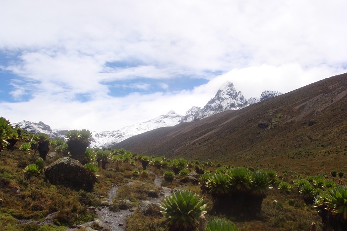 Climbing Mount Kenya, Summit Trekking Tour,yha kenya travel.