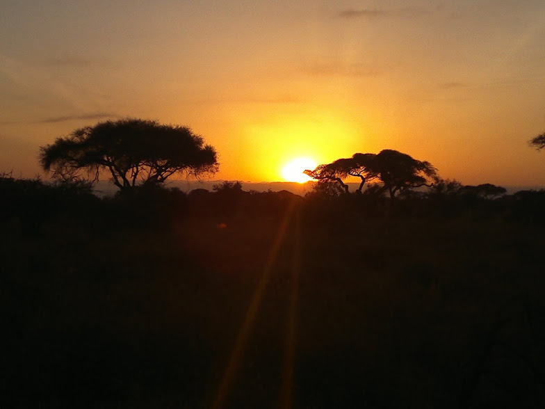 YHA Kenya Travel , Amboseli National Park , Kilimanjaro Views.