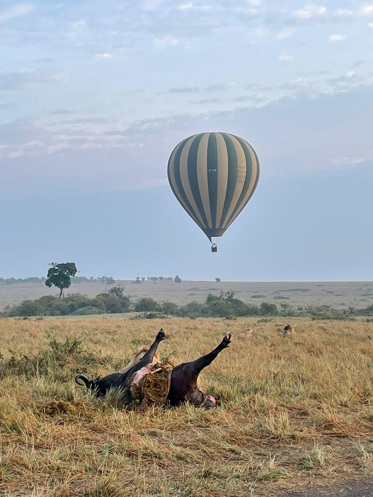 Active Adventures-Epic Hot Air Balloon Safari in Masai Mara-YHA Kenya Travel.