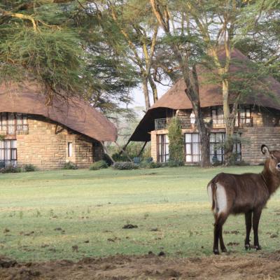 Kenya Adventure Safaris, African Budget Wildlife Safaris, YHA Kenya Travel,  Kenya Budget Safaris, Kenya Budget Adventure Camping, Active Adventures, Safari Bookings.