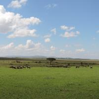 Epic Kenya Adventure Safaris, Active Adventures, YHA Kenya Travel Tours And Safaris, Wildlife Safari